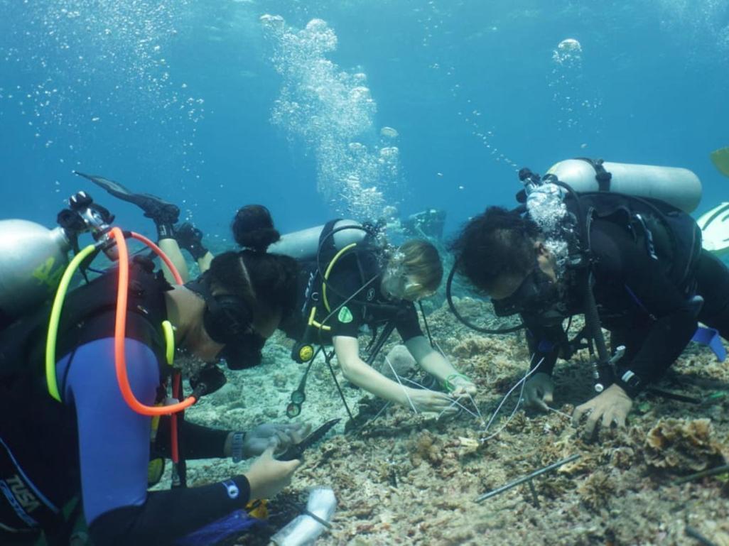 The Sagara Penida Nusa Penida Habitación foto